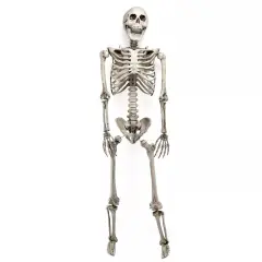 5.6Ft Halloween Skeleton Full Life Size Human Skull Holiday Tricky Haunted Props
