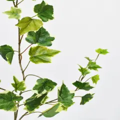 25" FauxVariegated Green Ivy Stem
