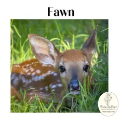 Newborn Fawn -Decoupage & Mixed Media Art Paper (Small - 12x18)