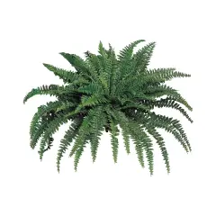 2-Pack: Boston Fern Plant with 88 Silk Fronds, 48" Wide, Floral Home by Artificial Flowers