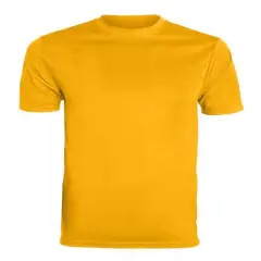 Augusta Sportswear&reg; Youth Nexgen Wicking T-Shirt Gold