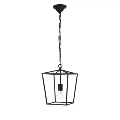Maddox Collection Pendant D9.75 H14.5 Lt:1 Black Finish