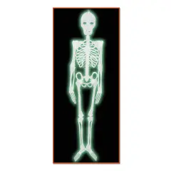 Beistle - Plastic Nite-Glo Skeleton - 4' - 12 Pack