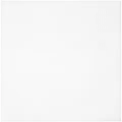 CousinDIY Perforated Plastic Canvas 14 Count 8.5"X11" 2/Pkg-Clear