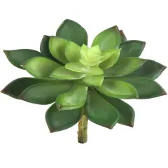 24-Pack: Real Touch Sedum Succulent Plant, 4.5" Wide, Floral Home by Artificial Flowers