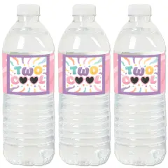 Big Dot of Happiness Two Cool - Girl - Pastel 2nd Birthday Party Water Bottle Sticker Labels - Set of 20