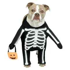 Skele-Dog Pet Costume