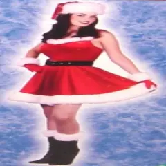 Mrs Santa Baby Costume Dress With Accessory