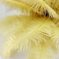 12 pcs 13"-15" long Genuine Ostrich Feathers Gold