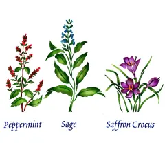 Small Standing Herbs: Peppermint, Sage, Saffron Wall Stencil | 2951 by Designer Stencils | Word & Phrase Stencils | Reusable Art Craft Stencils for Painting on Walls, Canvas, Wood | Reusable Plastic Paint Stencil for Home Makeover | Easy to Use & Clean Art Stencil