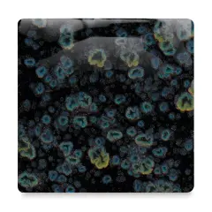 Mayco Jungle Gems Crystal Glaze - Obsidian, Pint
