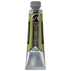 Rembrandt Artists' Oil Color - Cinnabar Green Light, 40 ml tube