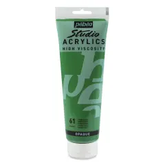 Pebeo High Viscosity Acrylics - Green Earth, 250 ml, Tube