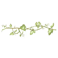 Leafy Ivy Vine Wall Stencil | 2825 by Designer Stencils | Floral Stencils | Reusable Art Craft Stencils for Painting on Walls, Canvas, Wood | Reusable Plastic Paint Stencil for Home Makeover | Easy to Use & Clean Art Stencil