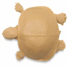 Gyotaku Fish Printing Replica - Painted Turtle