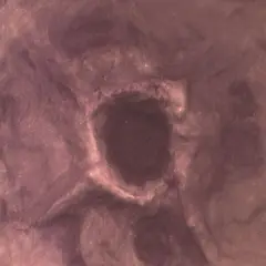 Plastruct Patterned Sheets, Moon and War Craters, &nbsp;No Scale