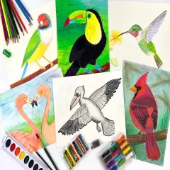 Homeschool Art B - Birds