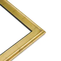 Blick Simplon Frame with Liner - 16" x 20" x 5/16", Gold/Black