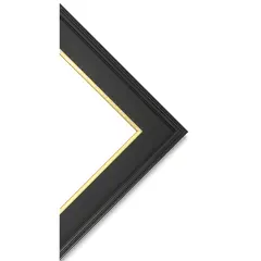 Blick Simplon Frame with Liner - 18" x 24" x 5/16", Black/Gold