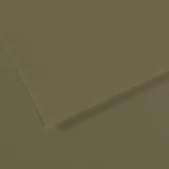 Canson Mi-Teintes Drawing Papers - 8-1/2" x 11", Olive Green, Pkg of 25 Sheets