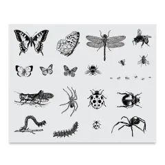 Mayco Designer Silkscreens - Bugs