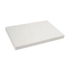 Pacon Art1st Mixed Media Sheets - 24" x 36", 250 Sheets