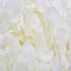 Kitcheniva Multicolor Silk Rose Petals DIY Craft & Party Decor 1000 Pcs Ivory