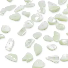 6 Packs of Shell Chips Natural 2/8" Strand