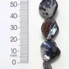 6 Packs of Tinted Shell Chunk Gray 2x8" Strand