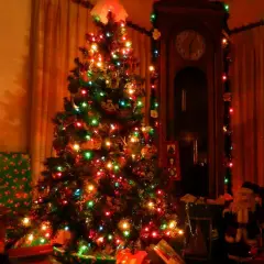 Multicolor Christmas Lights with Green Wire, 66 Feet 300 Count