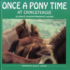 Once a Pony Time at Chincoteague