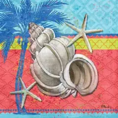 Pacific Shells I Poster Print by Paul Brent - Item # VARPDXBNT623