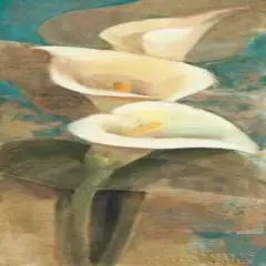 Calla Lily Trio Panel Poster Print by Albena Hristova - Item # VARPDX3005