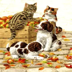 Sunsout Box of Apples 500 pc Jigsaw Puzzle 51404