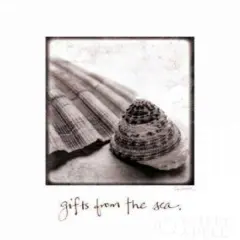 Gifts from the Sea Poster Print by Sue Schlabach - Item # VARPDX5846
