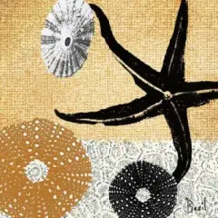 Tidepool Dreams II Poster Print by Jason Basil - Item # VARPDX5628