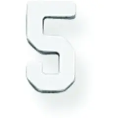 14K White Gold Number 5 5mm