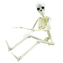 XONOR 16&rdquo; Posable Halloween Skeleton- Full Body Halloween Skeleton with Movable Joints for Haunted House Props Decorations (1pc)