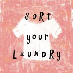 Laundry Rules Iii Poster Print by Sue Schlabach - Item # VARPDX35899