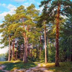 Ship pines Poster Print by Sergej Basov - Item # VARPDXBC17