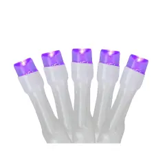 Northlight LED Wide Angle Christmas Lights - Purple - 9.5' White Wire - 20ct