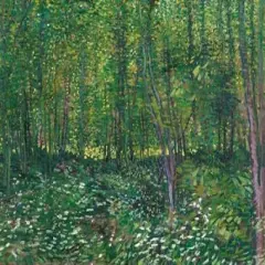 Trees and undergrowth Poster Print by Vincent van Gogh - Item # VARPDX3VG2674