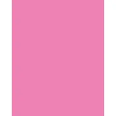 Neon Coated Poster Board, Neon Pink, 22" x 28", 25 Sheets