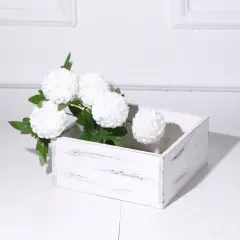 $product['description']['title']}