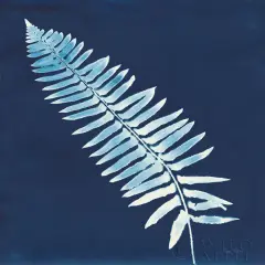 Nature By The Lake - Ferns IV Poster Print by Piper Rhue - Item # VARPDX50086