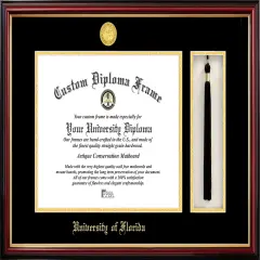 University of Florida,16w x 11.5h Tassel Box and Diploma Frame