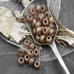 20g Matte Crystal Bronze Luster 2/0 Matubo Beads