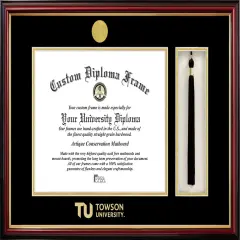 Towson University 14w x 11hTassel Box and Diploma Frame