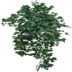 Lush 38" Green & White Ivy Artificial Plant - Hanging D&eacute;cor with 701 Needlepoint Leaves for Home, Events & Weddings