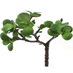5" Artificial Portulacaria Afra Succulent, 12-Pack - Realistic Faux Greenery, Indoor/Outdoor Use, Ideal for Home, Office & Event D&eacute;cor - Year-Round Accent, Floral Home by Artificial Flowers